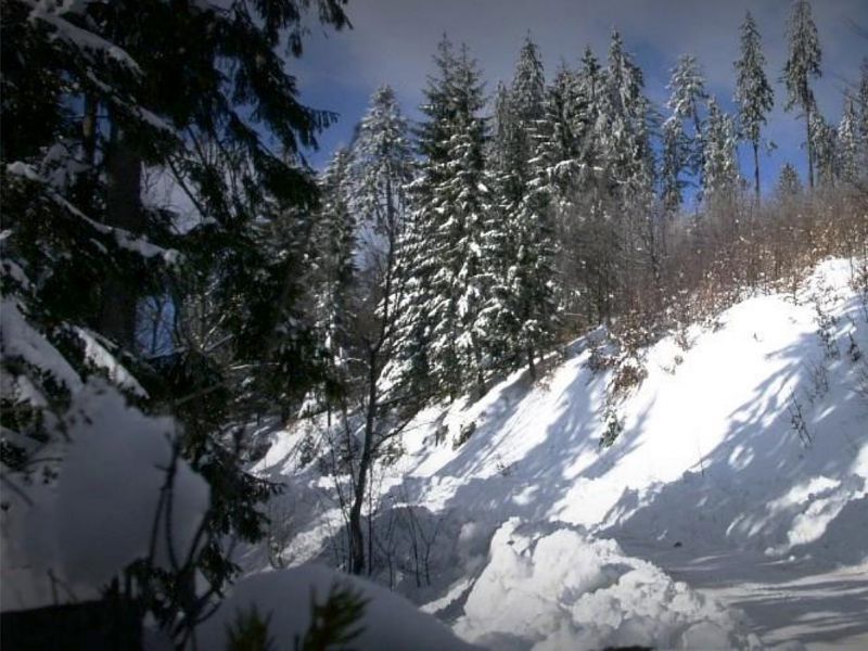 Cestou - necestou...alebo ako ďalej s lesnými cestami