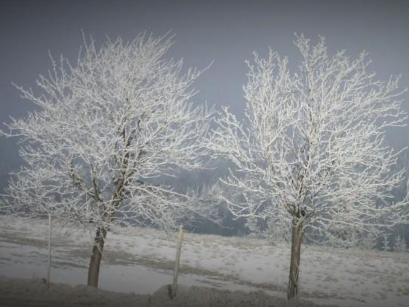 Kto vykopáva otvorené dvere?