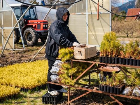Zdroj: FB stránka Tatranského národného parku 