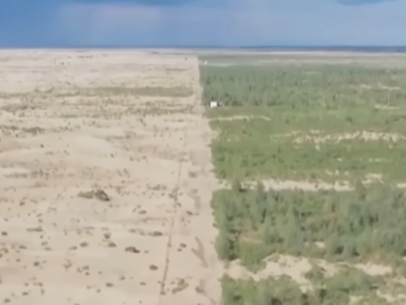 P&uacute;&scaron;ť a zalesnen&aacute; plocha v Č&iacute;ne 