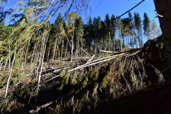 Vetrová kalamita na Čiernom Váhu 
