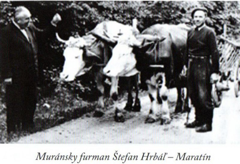 Foto muránskeho furmana, spomínaného v článku