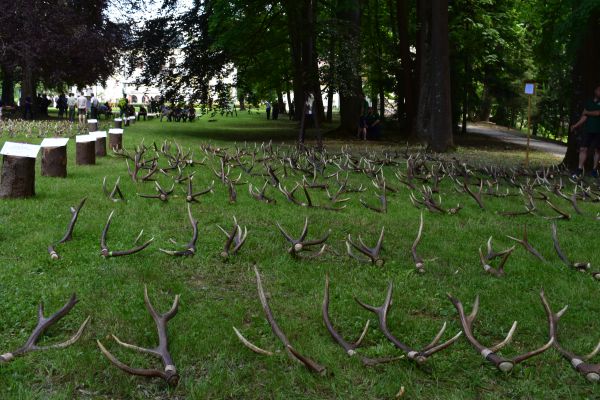 Ilustračn&eacute; foto Jozef Marko