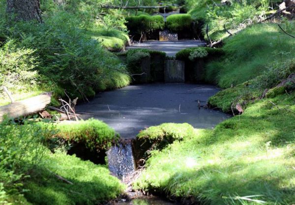 Vracaj&uacute; vodu na &Scaron;umavu