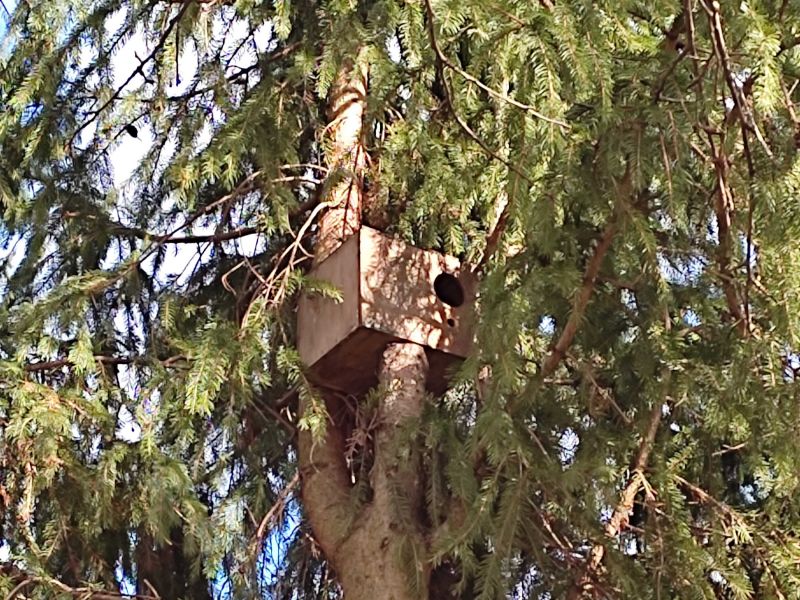 Ilustračné foto: Jozef Marko 