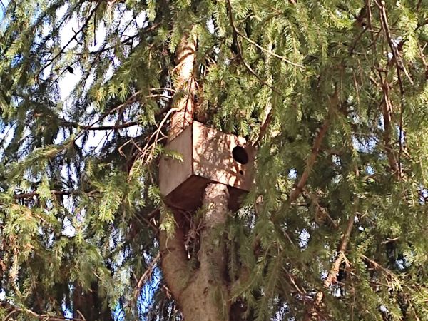 Ilustračné foto: Jozef Marko 