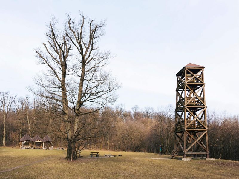 Americk&aacute; l&uacute;ka s rozhľadňou 