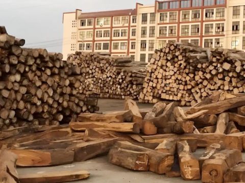 Palisandrové drevo v Dongyangu v Číne 