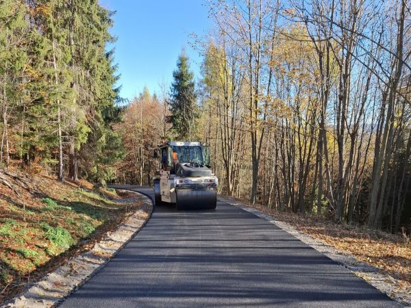 Ilustračné foto FB stránka LESY SR 