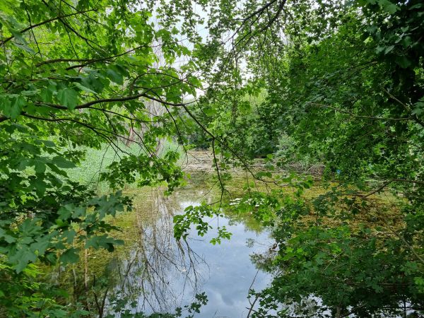 Ilustračné foto: Ing. Róbert Gombárik 