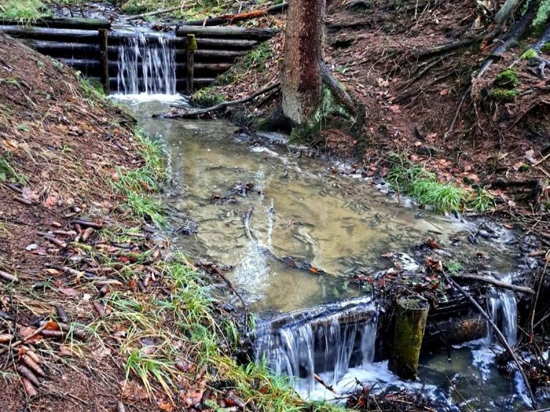 Zdroj: FB profil Michala Kravč&iacute;ka 