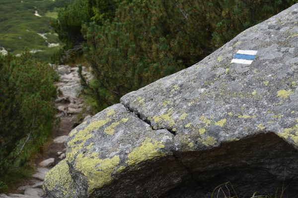 Ilustračn&eacute; foto Jozef Marko