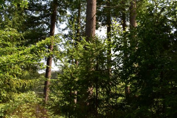 Ilustračn&eacute; foto: Jozef Marko 