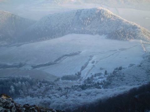 Ilusztračné foto: archív Lesmedium.sk 