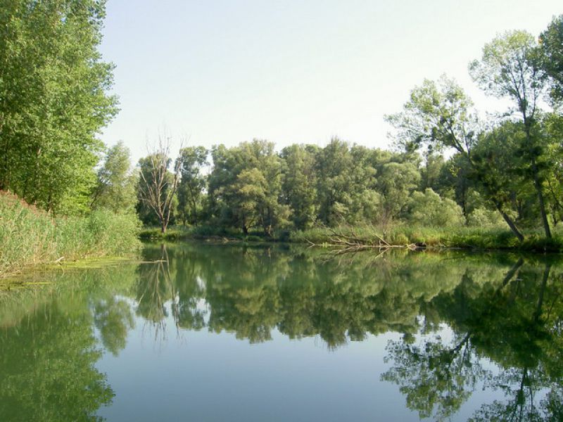 O pestovaní lužných lesov