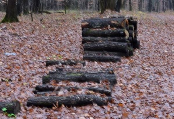 Ilustračn&eacute; foto: Jozef Marko 