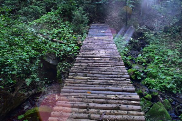 Ilustračné foto: Jozef Marko 