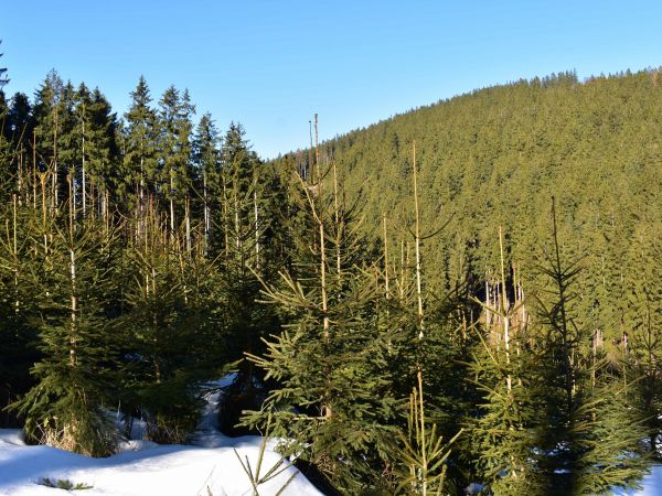 Ilustračné foto: Jozef Marko 