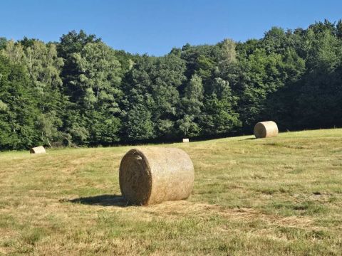Zdroj: FB stránka Mestské lesy Košice, a.s. 