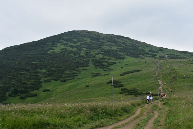 Na hrebeni Malej Fatry 