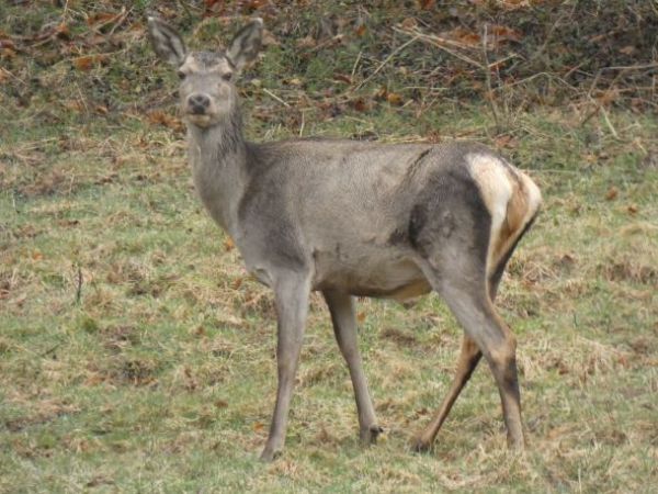 Ilustračn&eacute; foto Ing. Marek Nosko