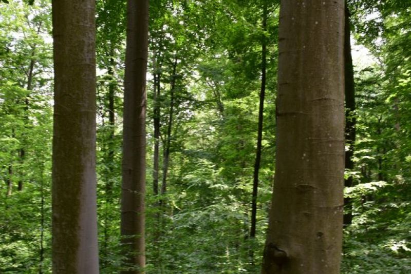 Ilustračné foto Jozef Marko