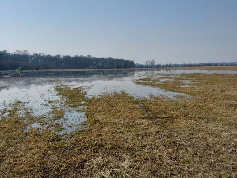 Zdroj: Internetov&aacute; str&aacute;nka Lesy ČR