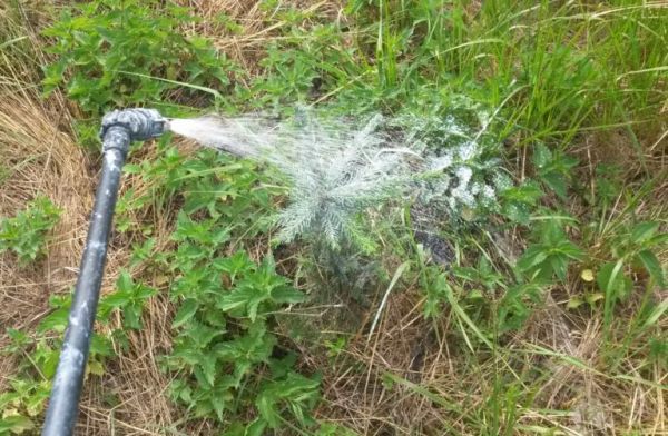 Zdroj: Internetová stránka VÚLHM 