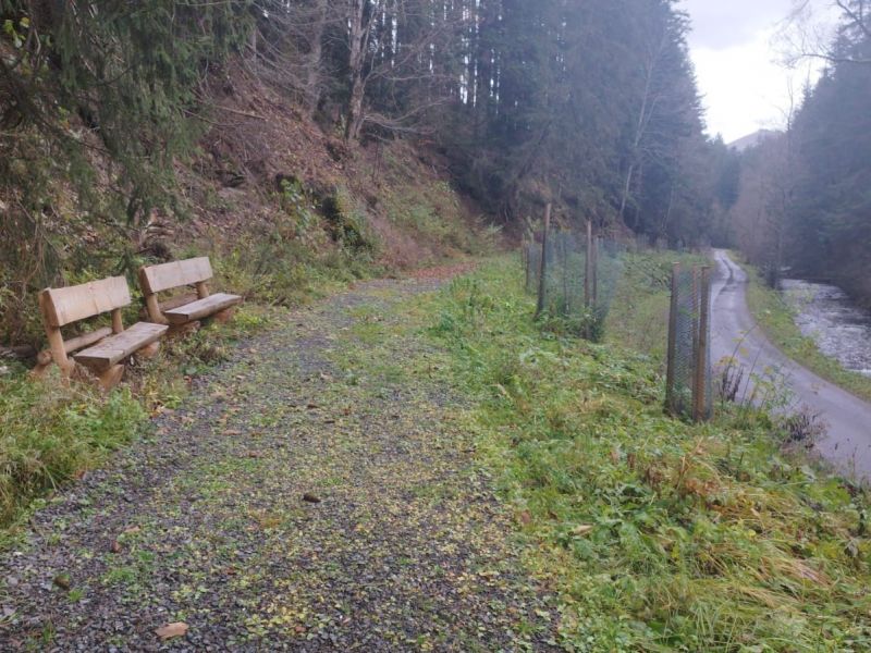 Ovocná lesná cesta v Malužinskej doline 