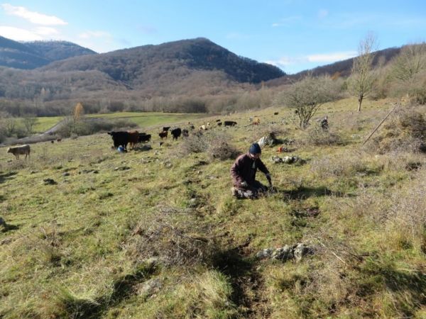 Manažment pasienkov 