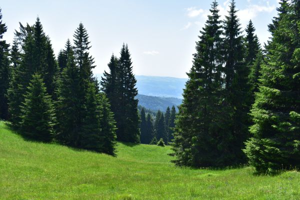 Ilustračn&eacute; foto Jozef Marko