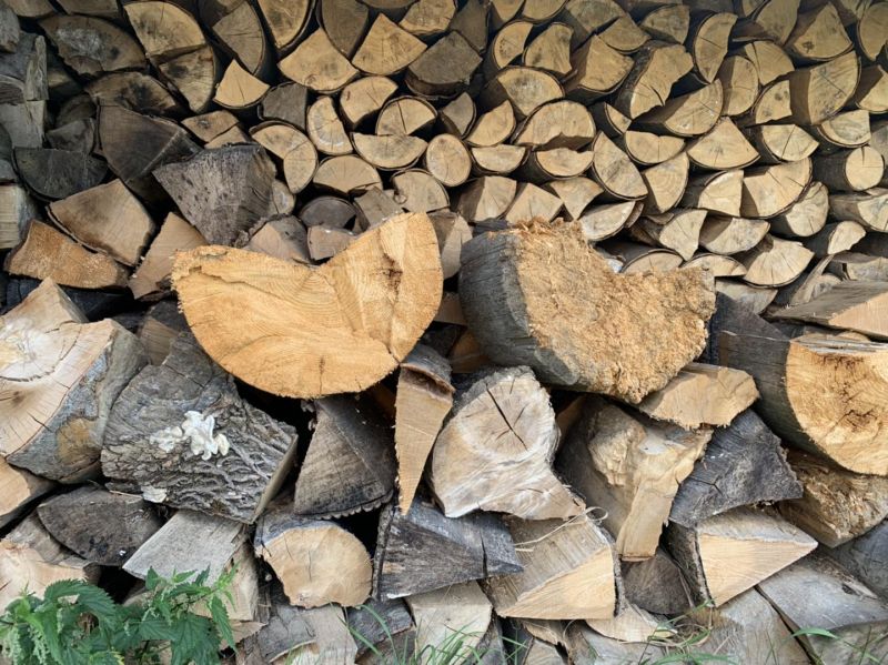 &Scaron;tiepan&eacute; palivov&eacute; drevo 