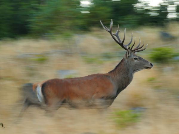 Ilustračn&eacute; foto: Marek Pindroch