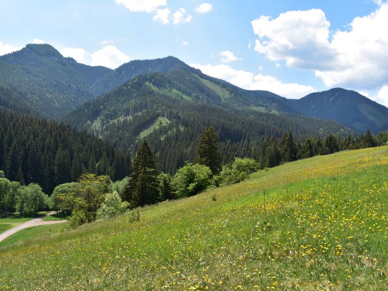 Ilustračné foto: Jozef Marko 