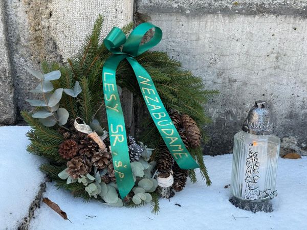 Zdroj: Internetov&aacute; str&aacute;nka LESY SR &scaron;. p. 