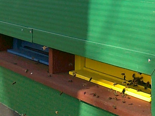 Ilustračn&eacute; foto Jozef Marko