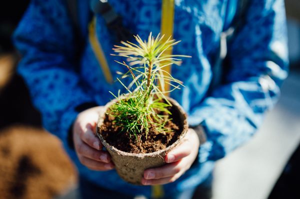Ilustračn&eacute; foto: FB str&aacute;nka NLC Zvolen
