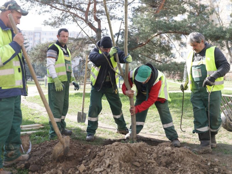 Zdroj: FB stránka Správy mestskej zelene v Košiciach 