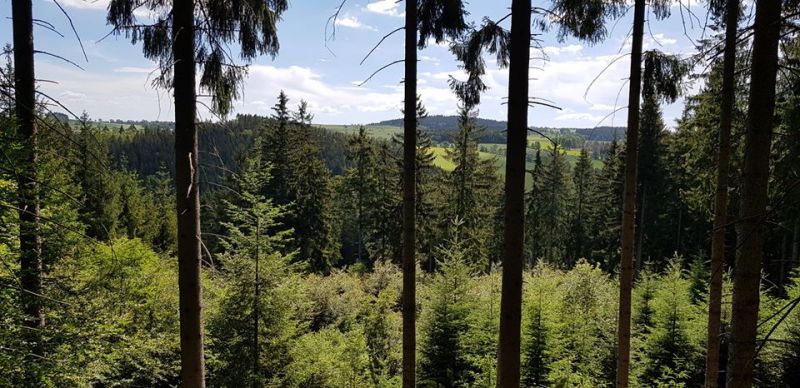 Ilustračné foto Ing. Róbert Gombárik 