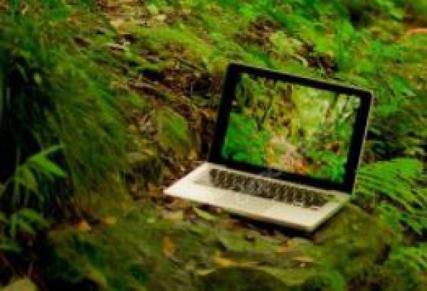 Lesn&eacute; hospod&aacute;rstvo potrebuje mlad&uacute; krv