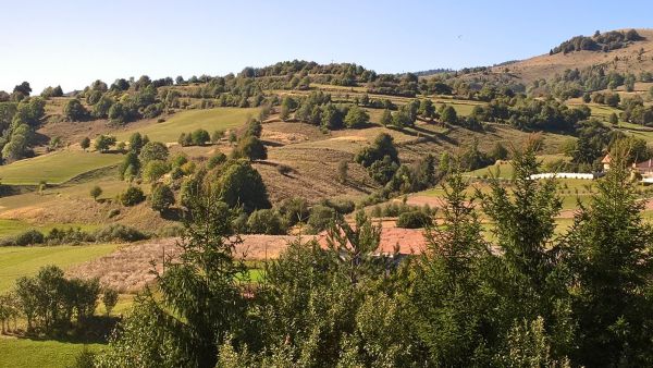 Pasienky s drevinami na Podpoľan&iacute;. Tradičn&yacute; agrolesn&iacute;cky syst&eacute;m