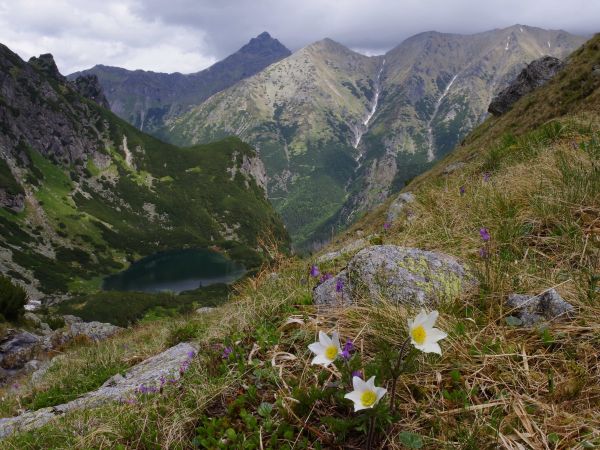 Ilustračné foto: Ing. Ján Slivinský 