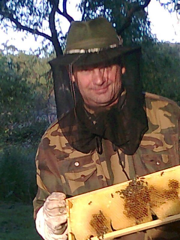 Pod &uacute;bytok včiel sa podp&iacute;sal aj znižen&yacute; počet včel&aacute;rov