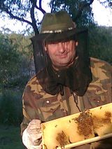 Pod &uacute;bytok včiel sa podp&iacute;sal aj znižen&yacute; počet včel&aacute;rov