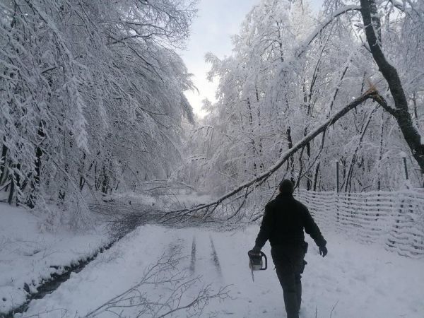 Ilustračn&eacute; foto: Internetov&aacute; str&aacute;nka VLM &scaron;. p. 