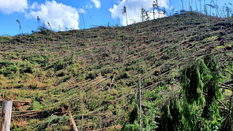 Ukážka vetrovej kalamity na Liptove 