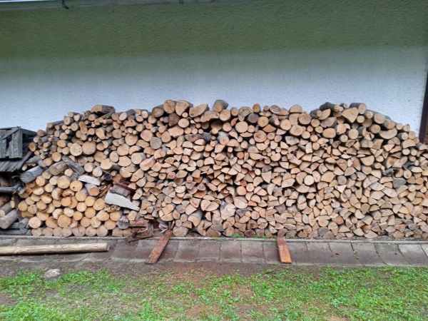 Drevo, ktor&eacute; je predmetom vy&scaron;etrovania 