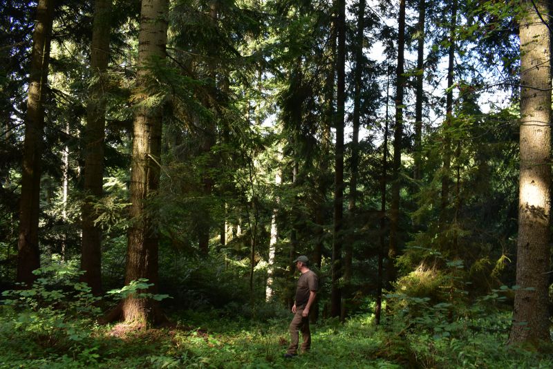 Ilustračné foto Jozef Marko