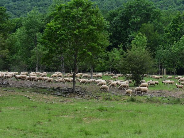 Ilustračné foto: Jozef Marko 