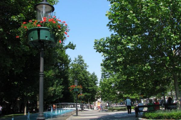 Zeleňou proti hor&uacute;čave v mest&aacute;ch